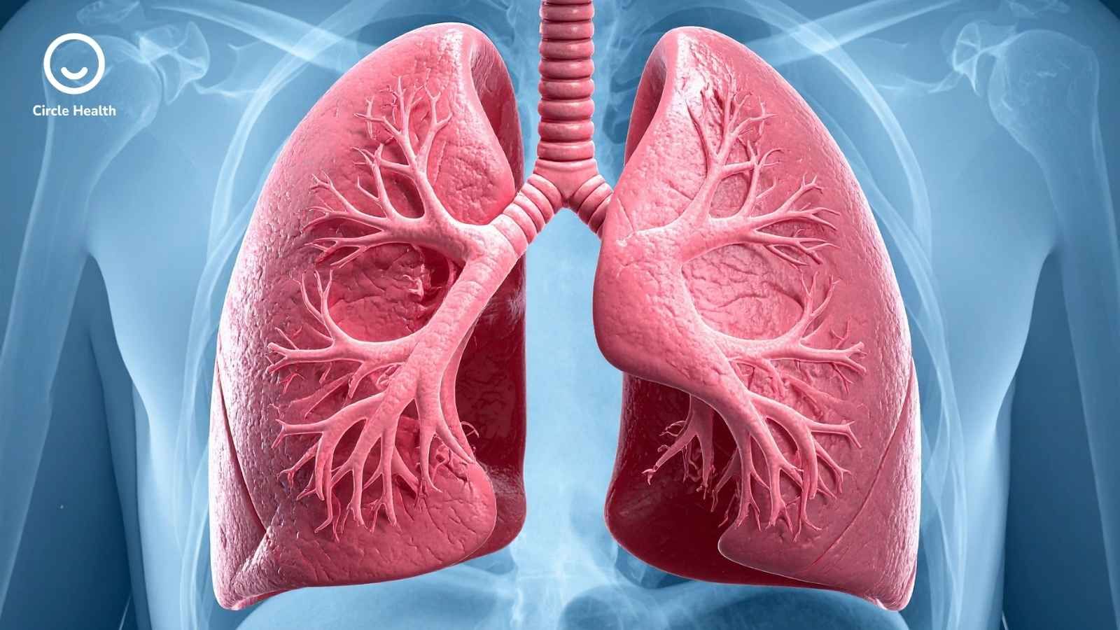 What Does RR Mean on a Hospital Monitor? Respiratory Rate Explained